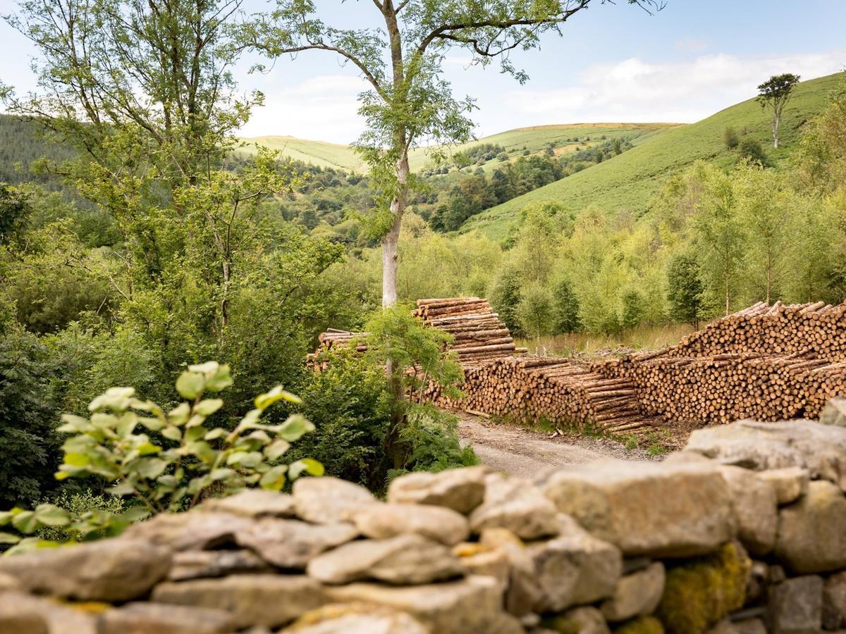 Red Kite Barn - Charming Boutique Barn Conversion Newbridge on Wye Exterior foto